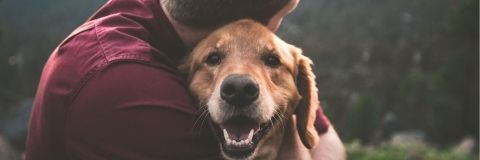 Communication animale et soins énergétiques à Largentière en Ardèche